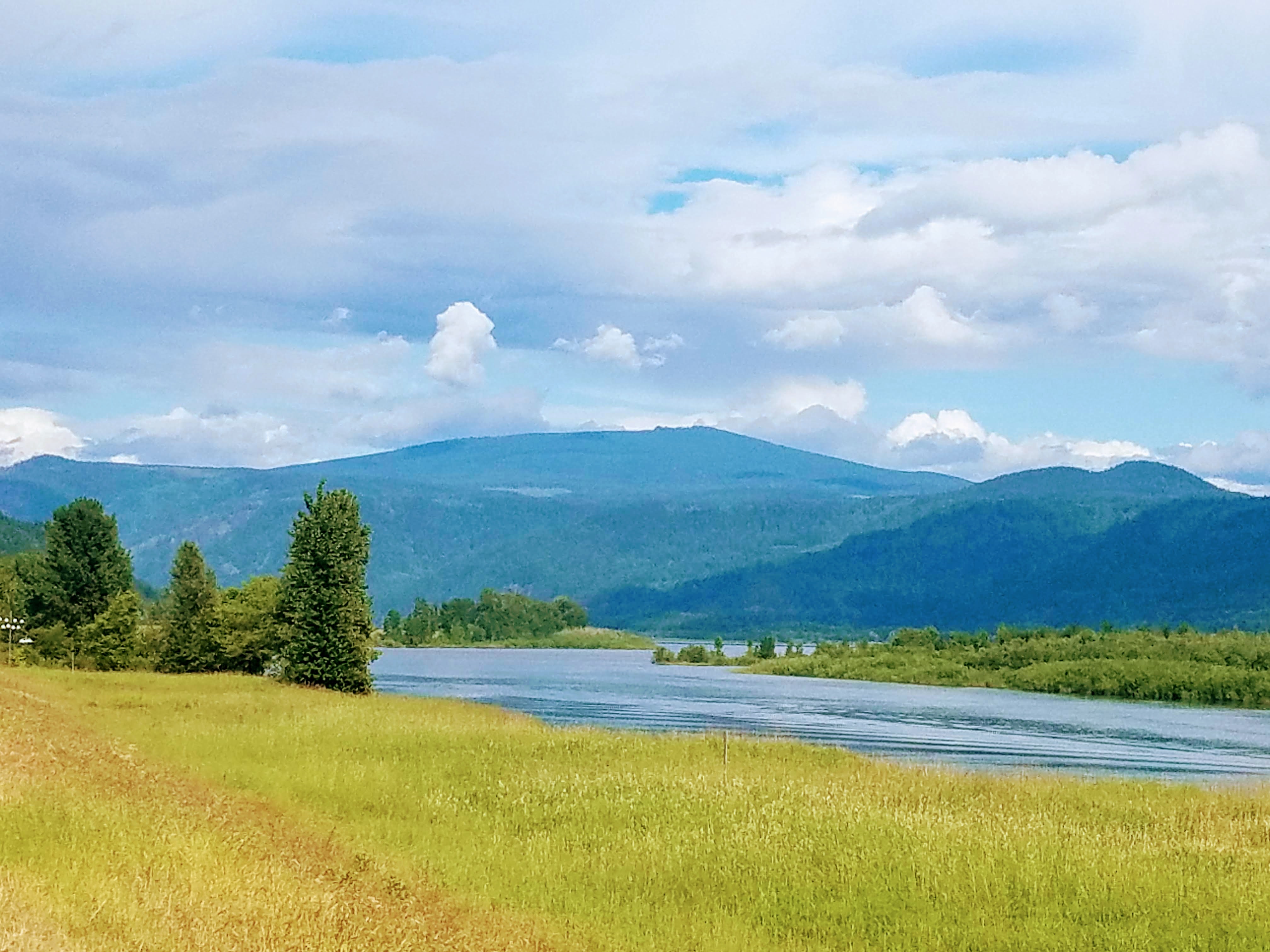 Welcome to the ECCA blog!