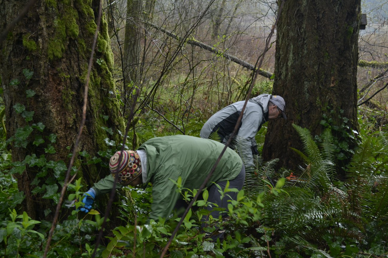 Why I joined the Ivy League
